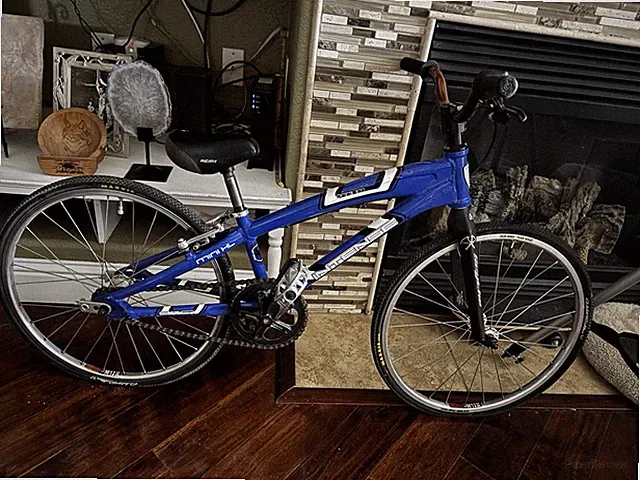 20 Inch BMX Kids Bike All Decked Out