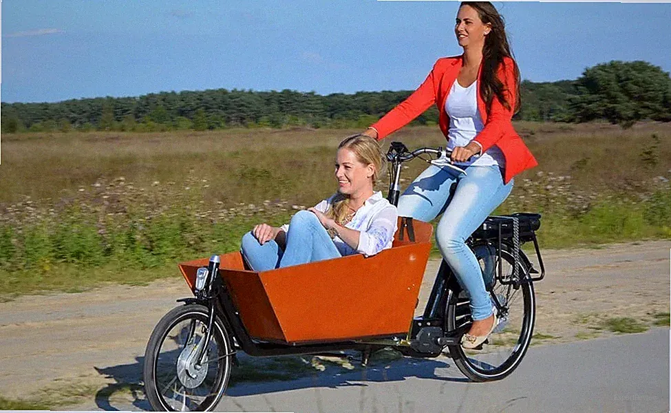 NEW family cargo bike bicycles - urban arrow front loader e-cargo bike