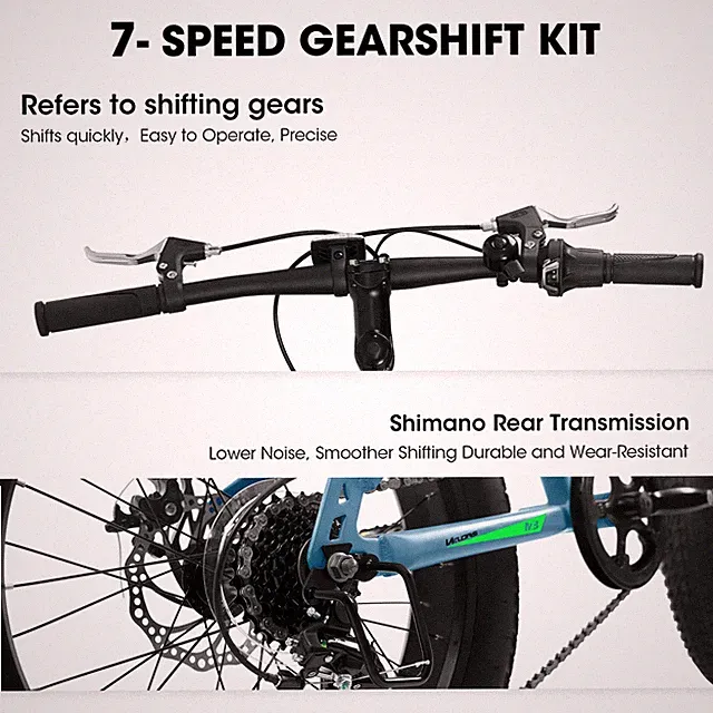 V20235 20 Inch Fat Tire Bike 7 Speed Mountain Bike, Dual Disc Brakes, High Carbo